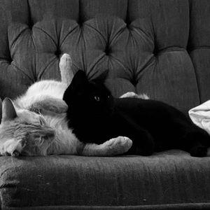 Meet your Posher, Jacob